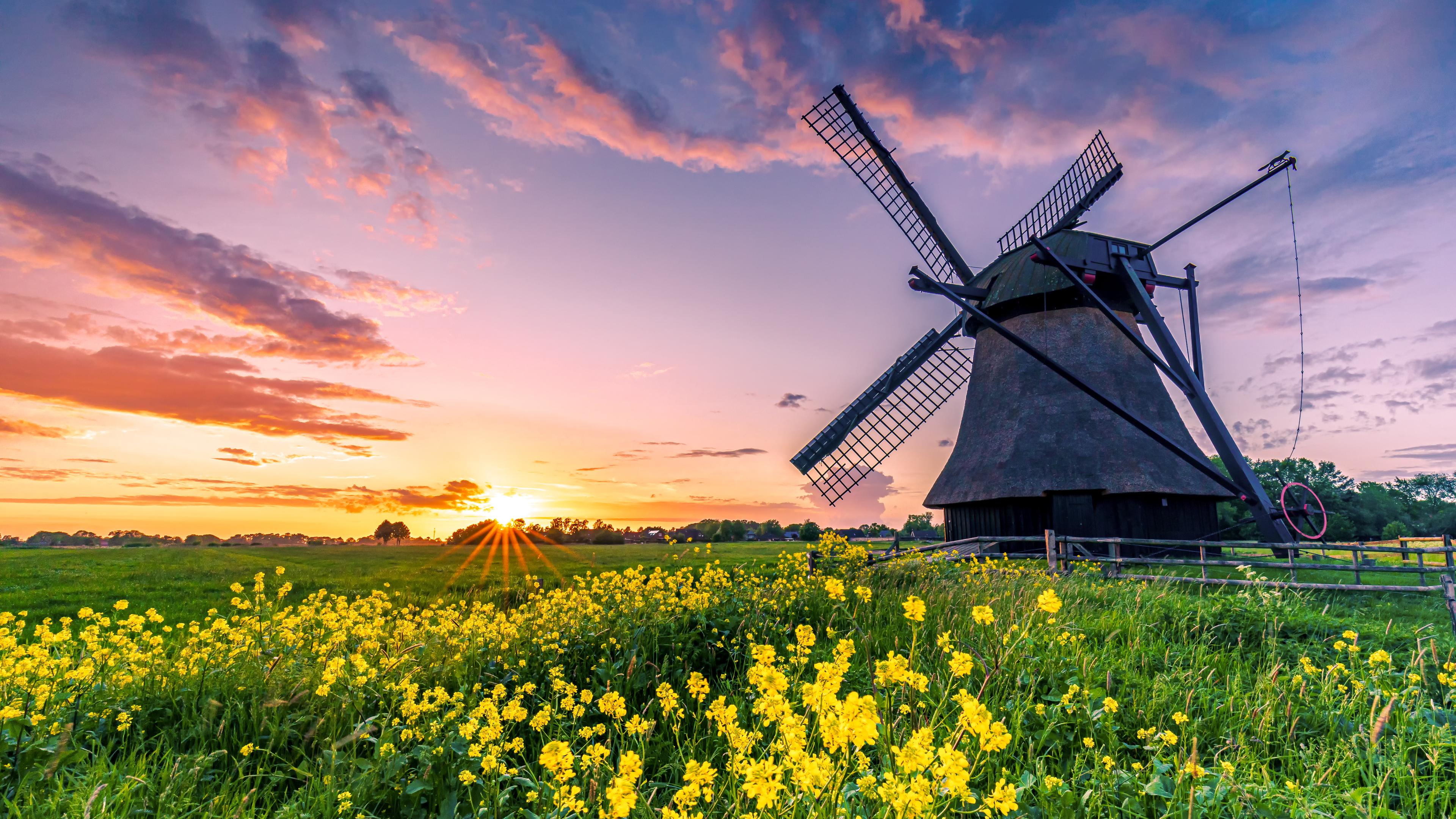 shutterstock-1896298855.jpg