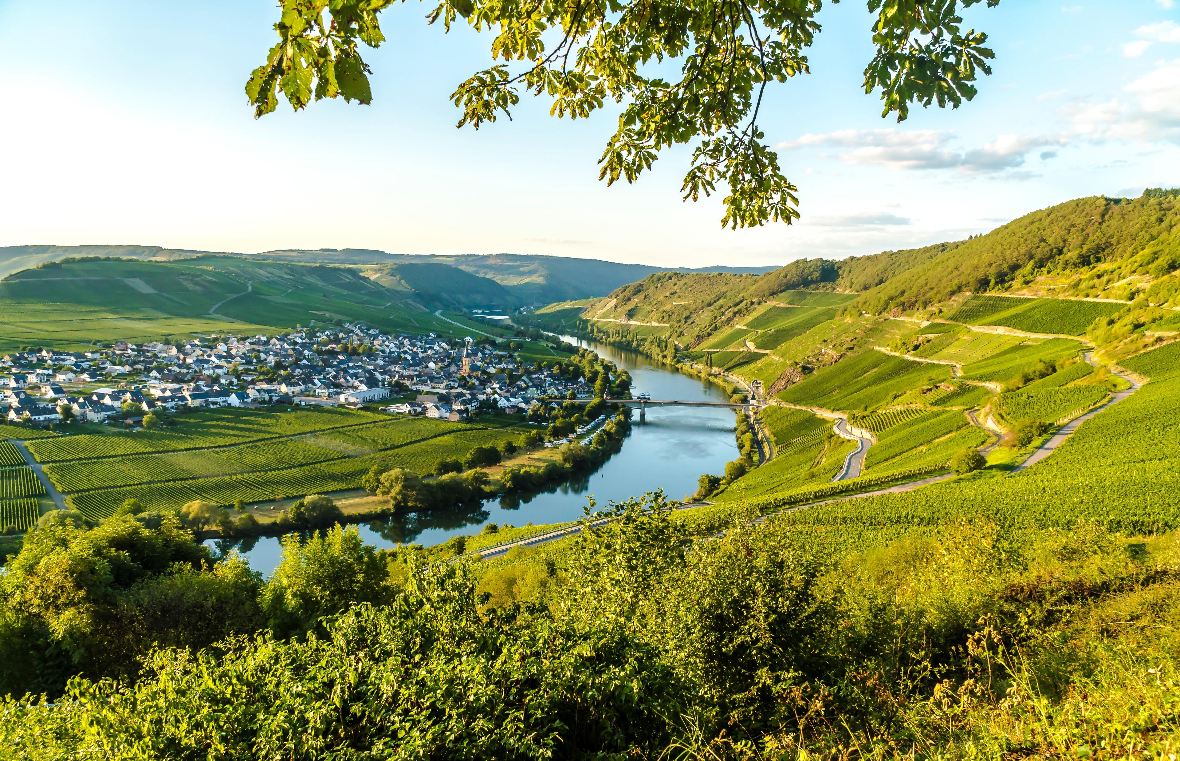 storage/okrareizen/duitsland-moezel-fietsvakantie1.jpg