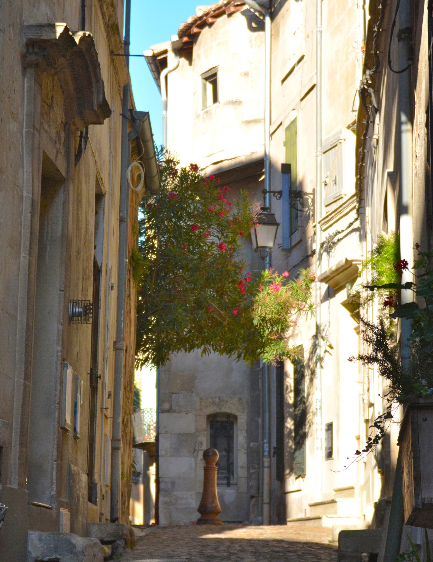 storage/okrareizen/france-saone-rhone-arles-ruellestephane-pfleger.jpg