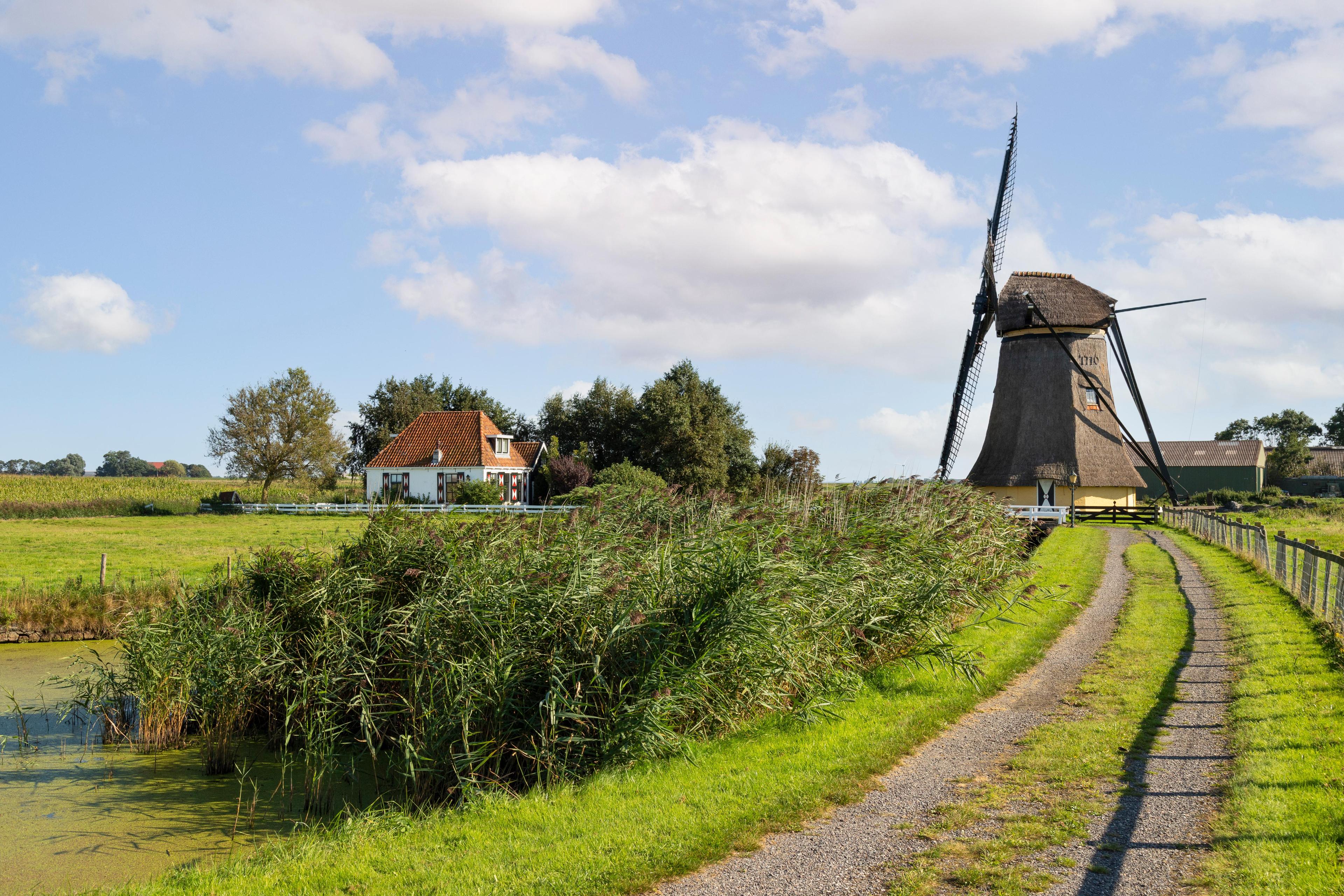 nederland-friesland-2.jpg