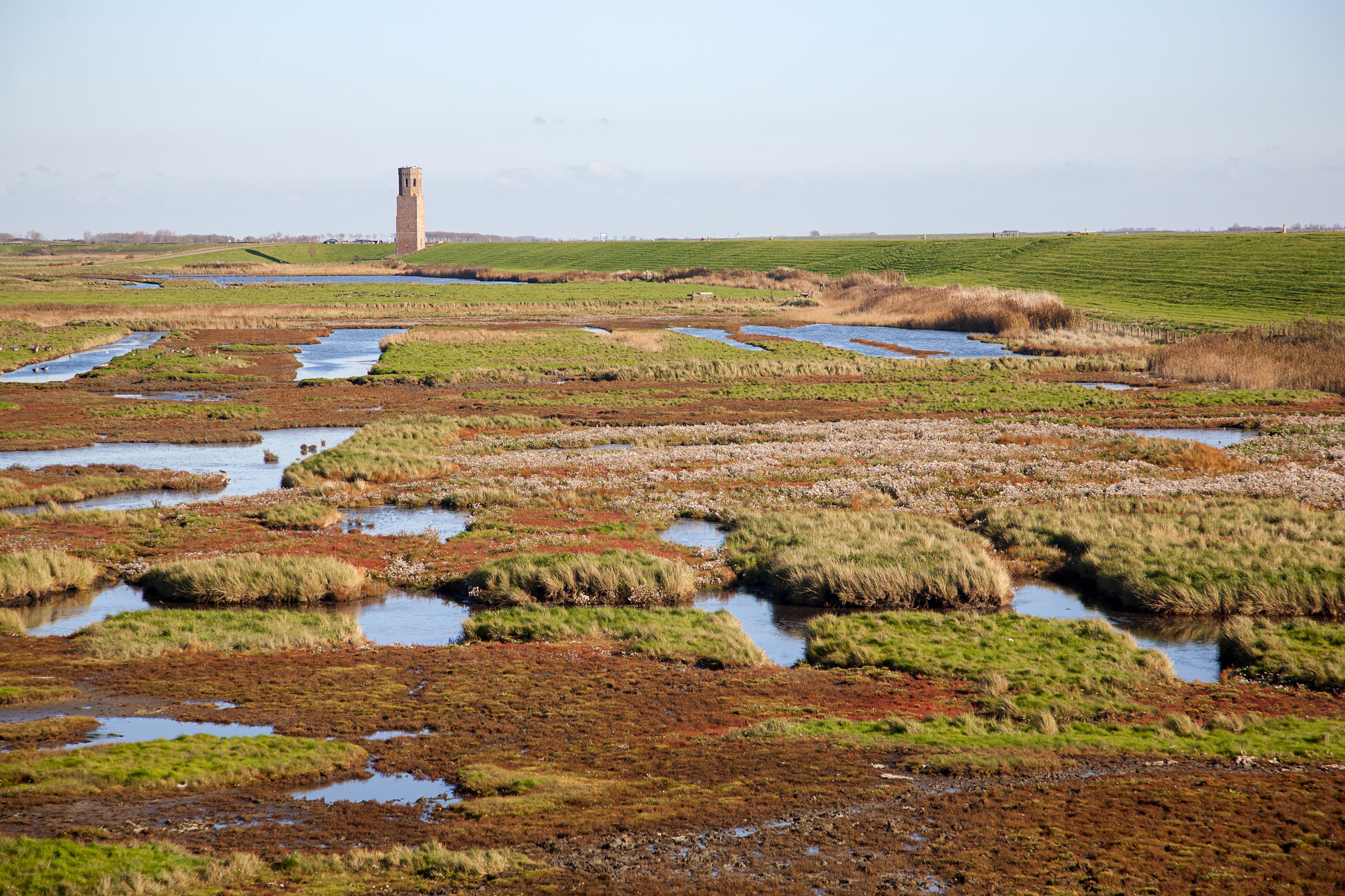 nederland-zeeland-fietsvakantie1.jpg