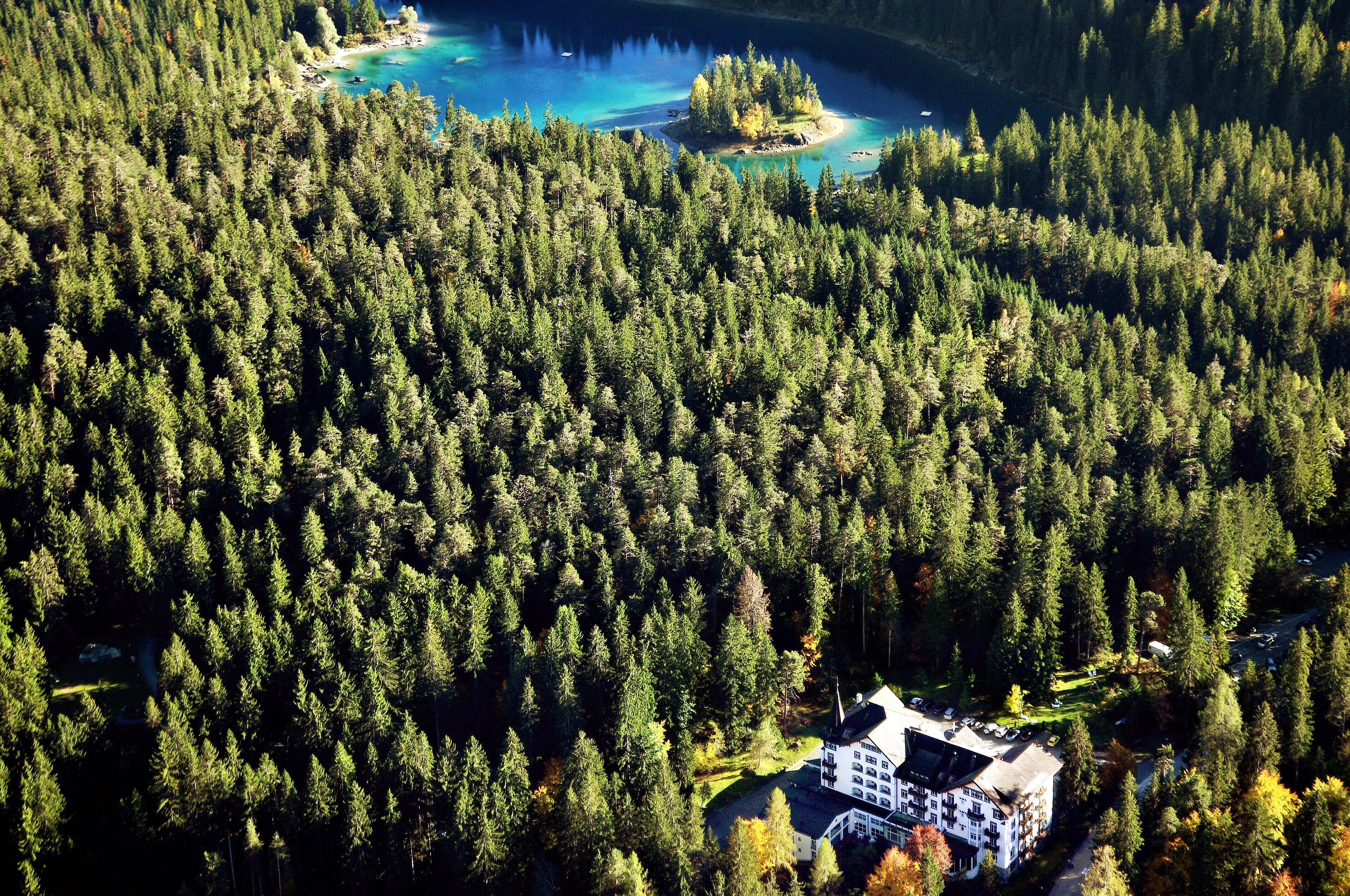 Grand Hotel Surselva aan de rand van het woud
